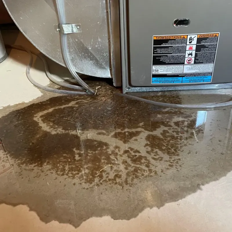 Pipe Burst and Leak Restoration in Boyd County, NE
